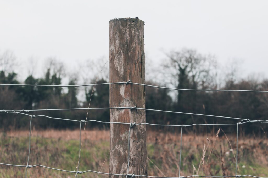 A post in a fence, which doesn't want to be dug out.   