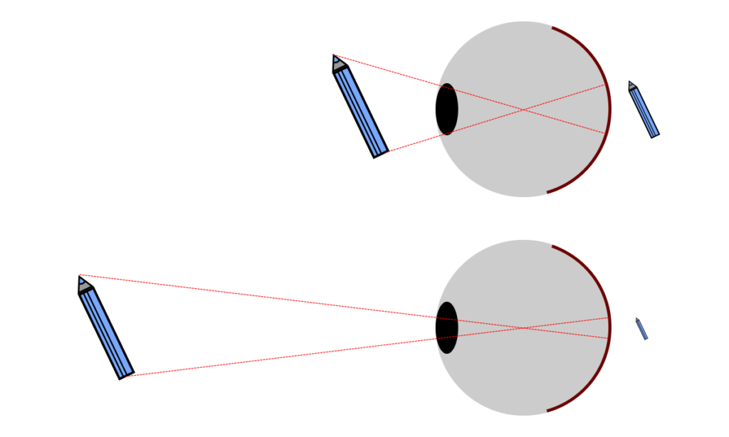 Promítání tužky na sítnici. Obraz je při větší vzdálenosti od oka na sítnici menší.