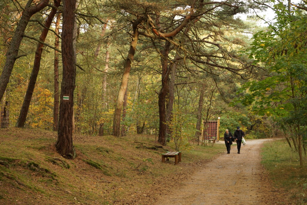 Soběševský ostrov – příroda, park a pláže.