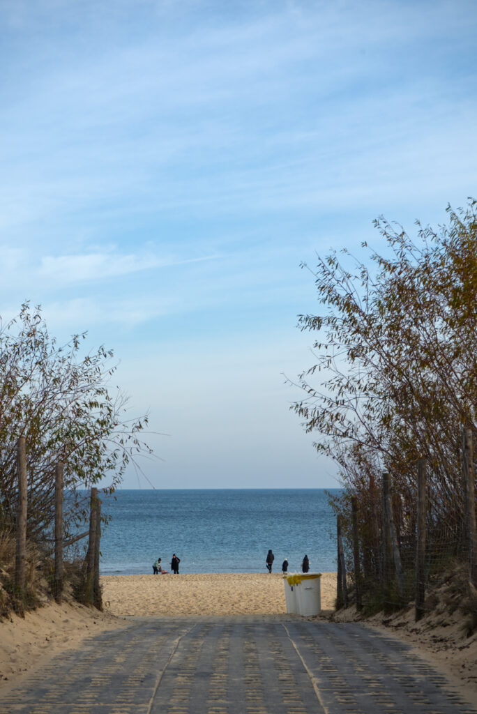 Soběševský ostrov – příroda, park a pláže.