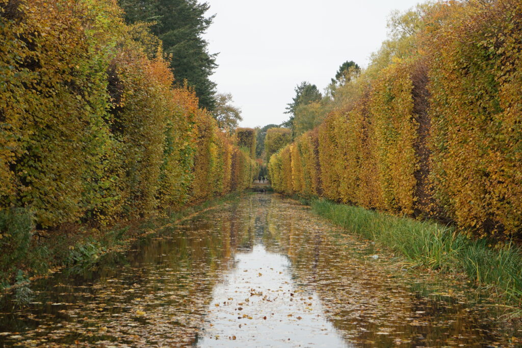 Zámecký park katerdály v Oliwě.