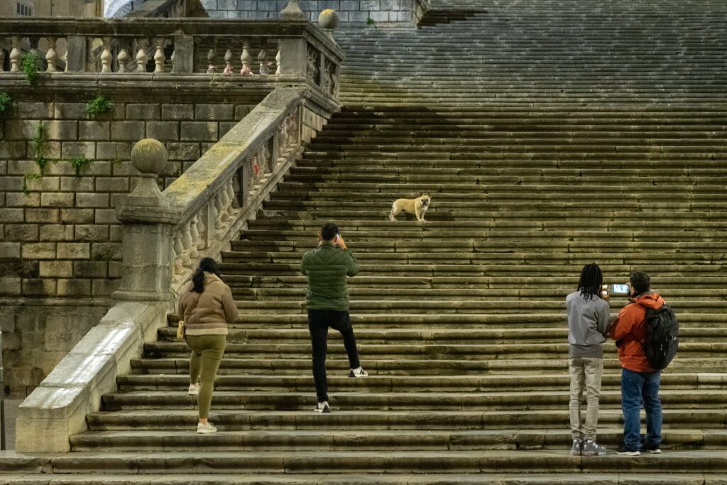 In front of the Girona Cathedral