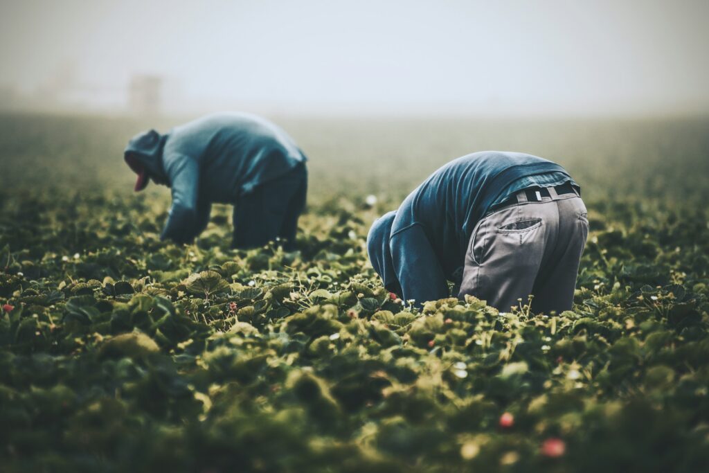 Source: Tim Mossholder on Unsplash