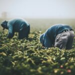 Source: Tim Mossholder on Unsplash