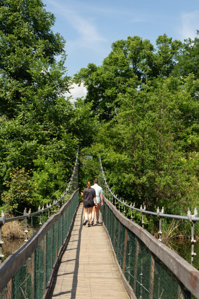 Footbridge over the river Dyje