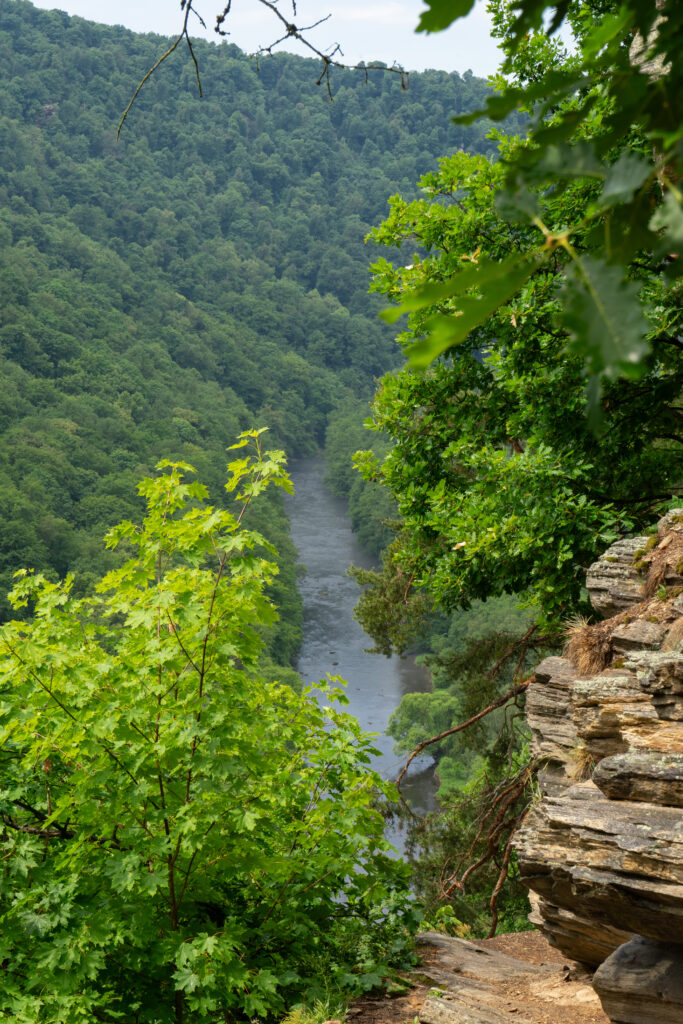 Inside the National Park Podyji