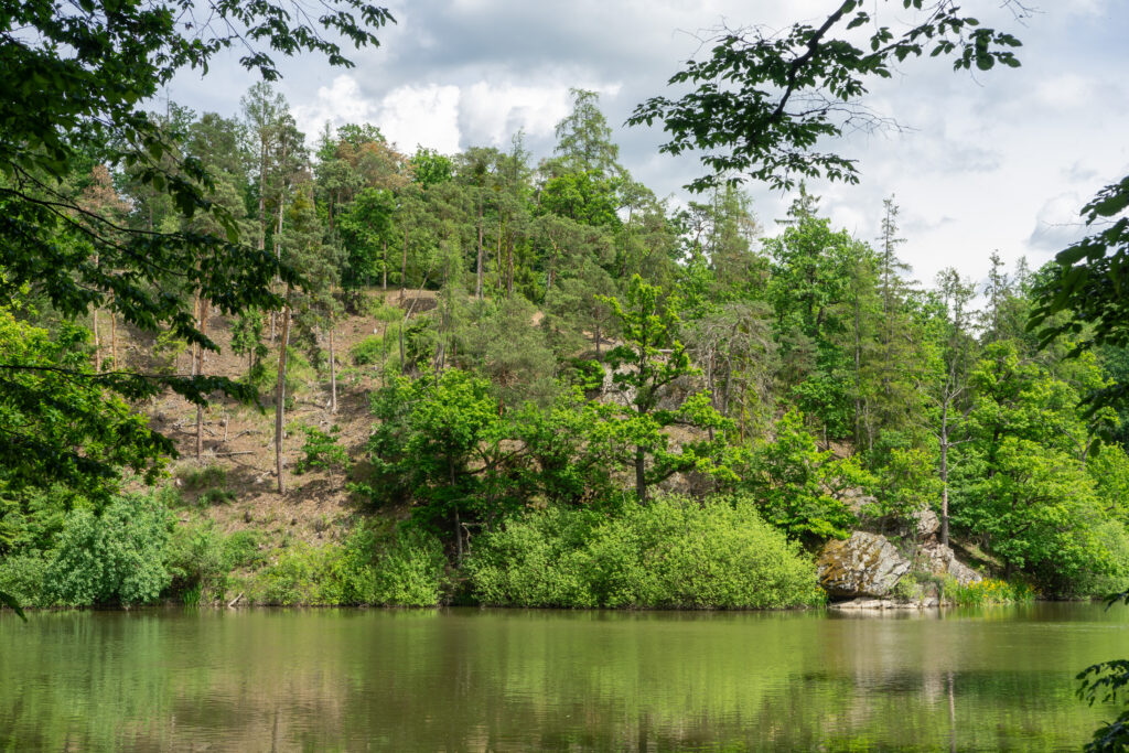 Pond Vlkos (Simperak)